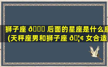 狮子座 🐒 后面的星座是什么座(天秤座男和狮子座 🦢 女合适吗)